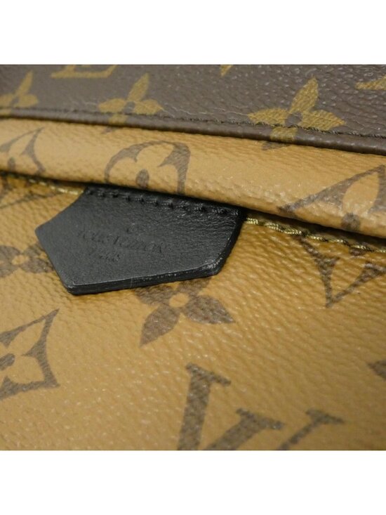 Louis Vuitton Monogram Reverse Palm Springs Backpack PM main image 7